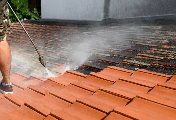 Roof Power Washing Services in Mountain View, MO